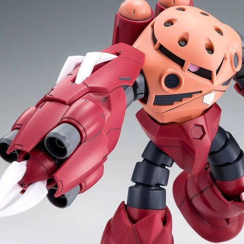 HG BF 1/144 AMAZING Z'GOK / ZGOK