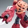 HG BF 1/144 AMAZING Z'GOK / ZGOK