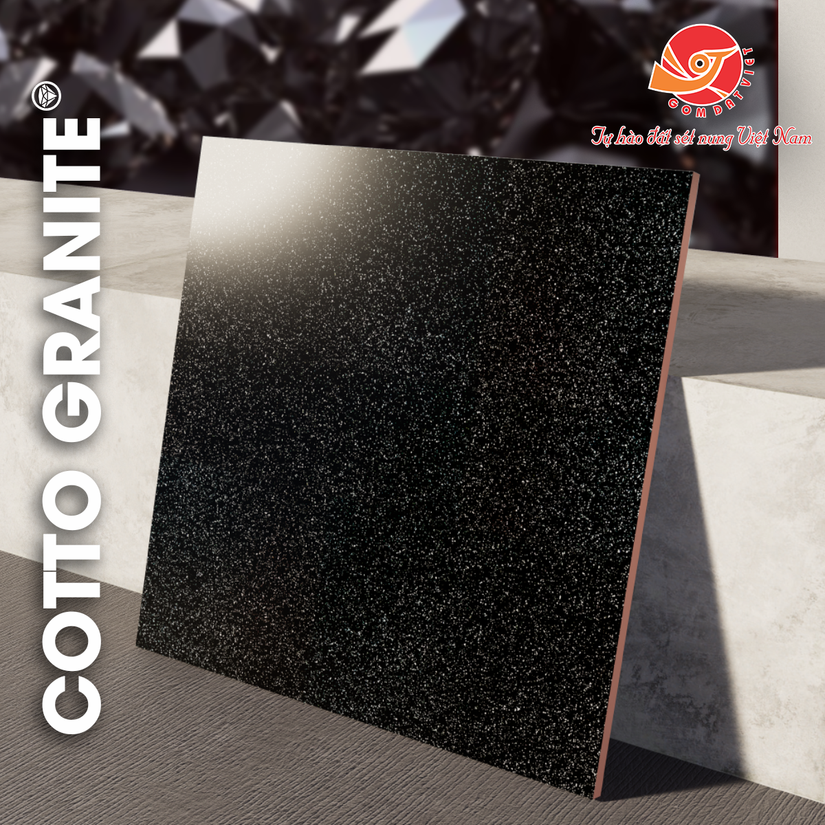 GẠCH COTTO GRANITE - ĐEN CHẤM BI