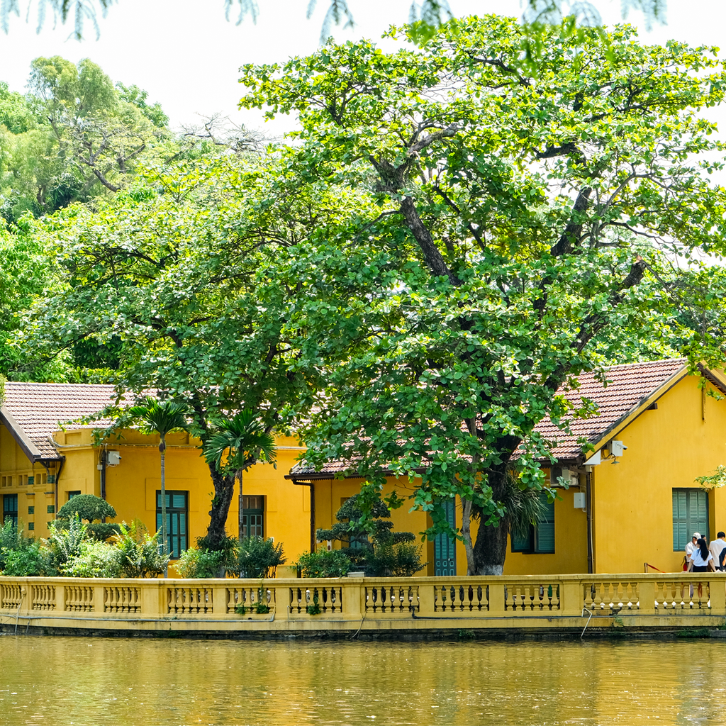NHÀ SÀN BÁC HỒ