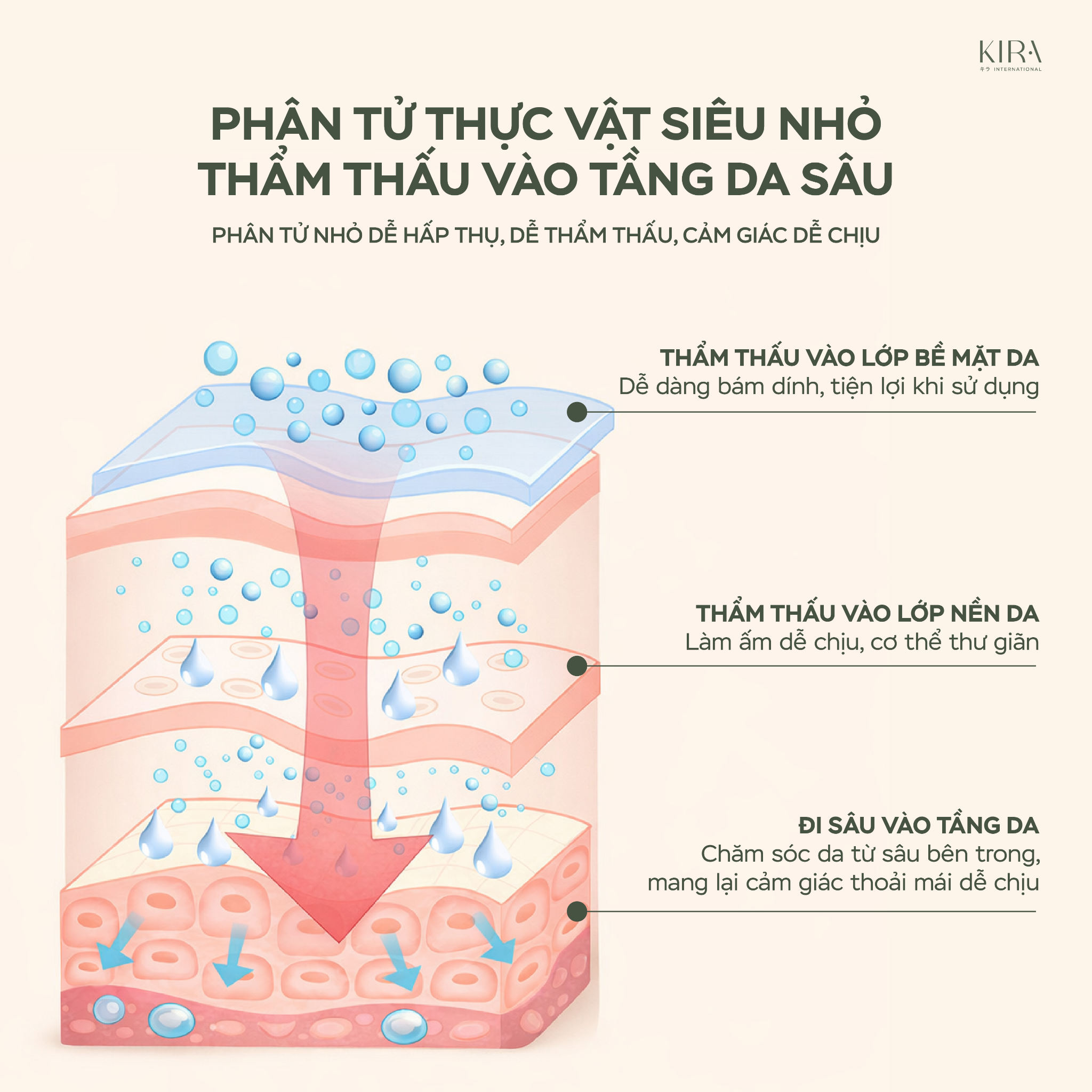  Miếng dán bụng ngải cứu thảo dược detox và bài hàn, giữ ấm bụng 
