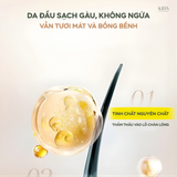  Xà phòng gội đầu chiết xuất thực vật lành tính SADOER – 60g - Dạng bánh nhỏ gọn, tiết kiệm hơn dầu gội thông thường phù hợp mọi loại tóc 
