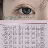  Lông mi giả có keo hoặc tự dính không cần keo, mỏng nhẹ mảnh mai như thật, tặng nhíp khi mua từ 2 set 