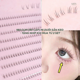  Lông mi giả có keo hoặc tự dính không cần keo, mỏng nhẹ mảnh mai như thật, tặng nhíp khi mua từ 2 set 