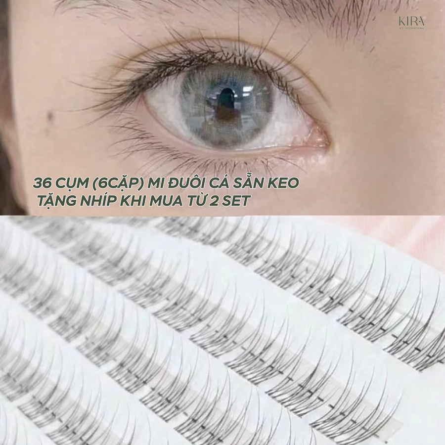  Lông mi giả có keo hoặc tự dính không cần keo, mỏng nhẹ mảnh mai như thật, tặng nhíp khi mua từ 2 set 