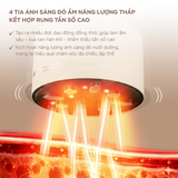  Máy xông ngải cứu trị liệu cầm tay cho mặt và body bằng đá bianstone cao cấp 2026, tặng 12 viên ngải cứu + dầu ngải cứu 