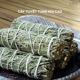  Lư xông hương gốm sứ và đĩa đồng nguyên khối cao cấp, xông tinh dầu, thảo dược, vỏ cam chanh bồ kết... giúp thanh lọc không khí, mang lại hương thơm tươi mát và vận khí tốt cho gia đình 