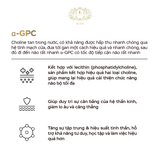  Thực Phẩm Bổ Sung E-SPECIAL α-GPC & LECITHIN Hỗ Trợ Cải Thiện Chức Năng Nhận Thức 180 Viên [NHẬP KHẨU NHẬT BẢN] 