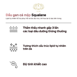  Kem Dưỡng E-SPECIAL ACTIVE CREAM Hoạt Tính Khoá Ẩm Hỗ Trợ Làm Sáng Da Và Phục Hồi Chuyên Biệt 30G 