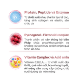  Kem Dưỡng E-SPECIAL ACTIVE CREAM Hoạt Tính Khoá Ẩm Hỗ Trợ Làm Sáng Da Và Phục Hồi Chuyên Biệt 30G 