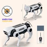  Đồ chơi lắp ráp robot chó mèo cơ khí DIY – mô hình chạy năng lượng mặt trời cho bé 
