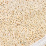  Miếng tắm tẩy da chết bằng xơ mướp tự nhiên hình bầu dục kích thước 12x8cm giúp làm sạch tế bào chết, massage chăm sóc da nhẹ nhàng thư giãn 