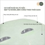  Kira Skin Feast (Bữa tiệc cho làn da) - thanh khiết và khởi tạo làn da đẹp từ gốc 