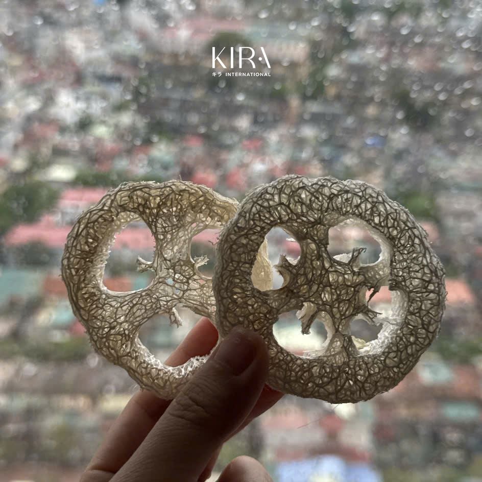  Miếng xơ mướp tắm rửa tẩy tế bào chết thiên nhiên tròn 5-7cm 