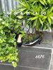 Cao gót nhọn bóng nơ C076