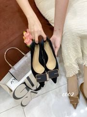 Cao gót nhọn C002