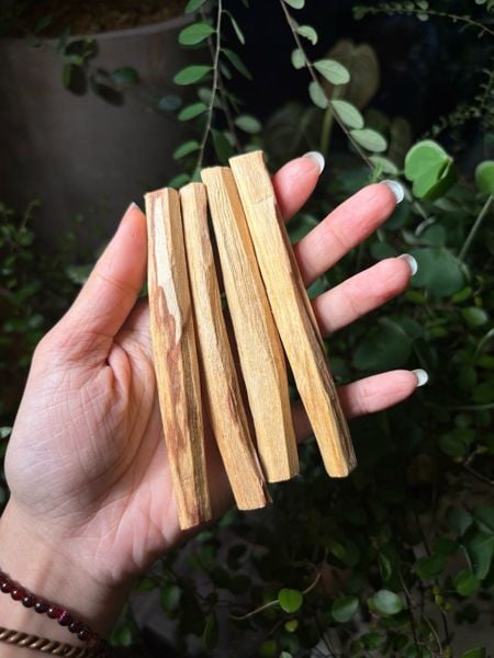  Gỗ Palo Santo ECUADOR - Gỗ Trắc Xanh Thanh Tẩy Đá năng lượng, bài tarot, reiki 