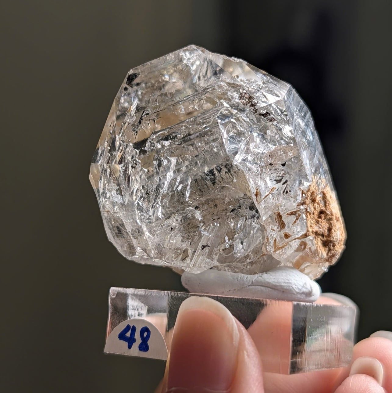  Tinh thể Carbon | Skelaton | Window Clay Quartz 