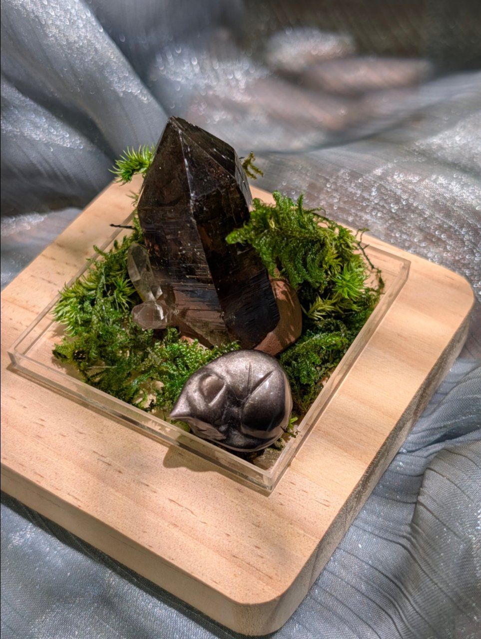  Mèo Silver Obsidian - Mèo Đá thủy tinh núi lửa 