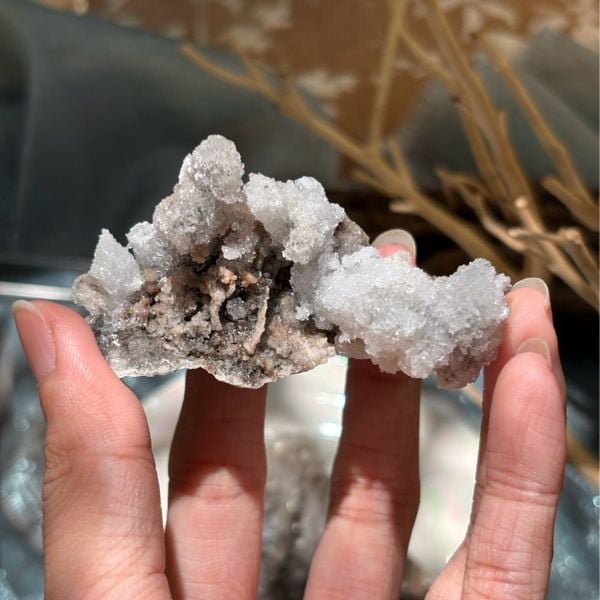  Ram’s Horn Selenite - Selenite sừng cừu 