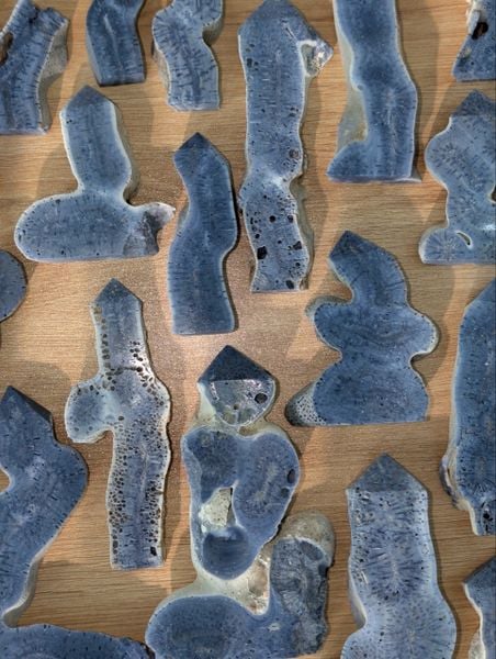  Blue Coral (Gr) Trụ đá San Hô Xanh 