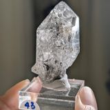  Tinh thể Carbon | Skelaton | Window Clay Quartz 