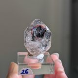  Tinh thể Carbon | Skelaton | Window Clay Quartz 