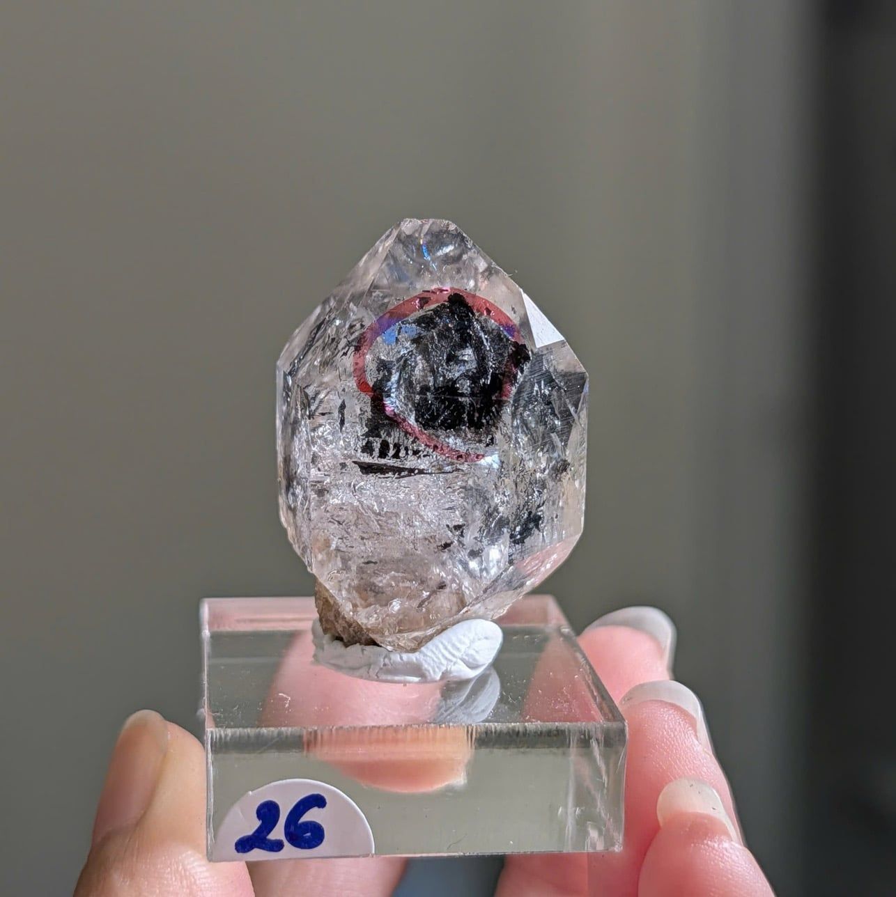  Tinh thể Carbon | Skelaton | Window Clay Quartz 