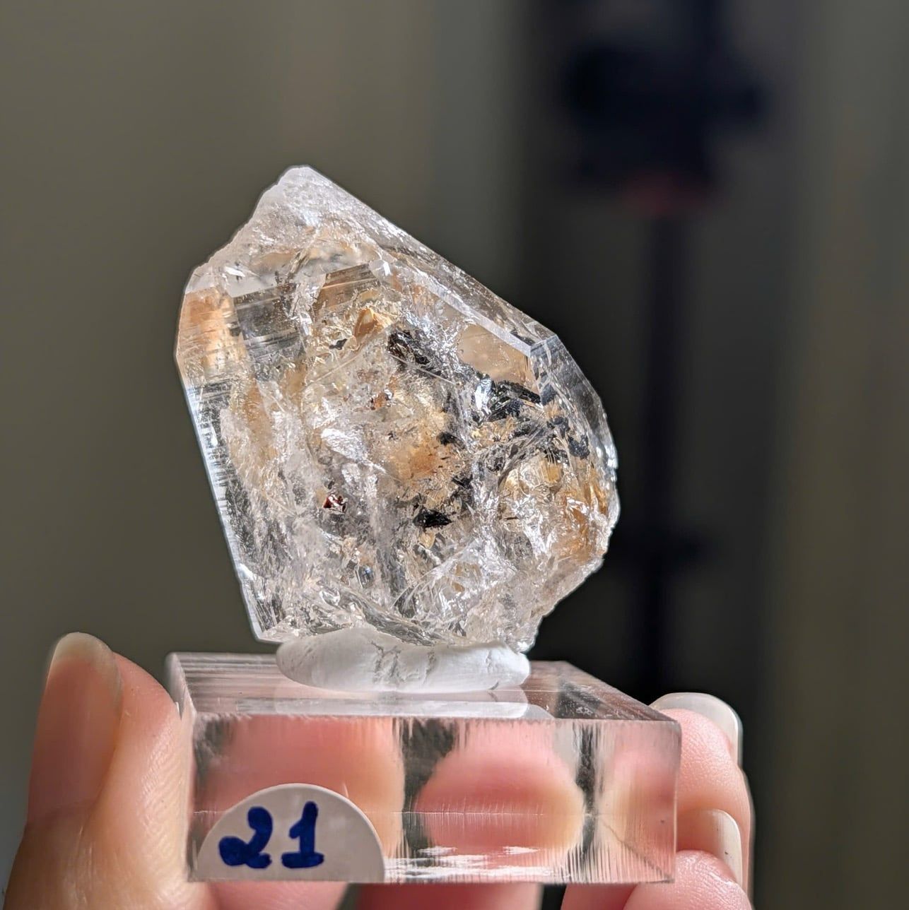  Tinh thể Carbon | Skelaton | Window Clay Quartz 