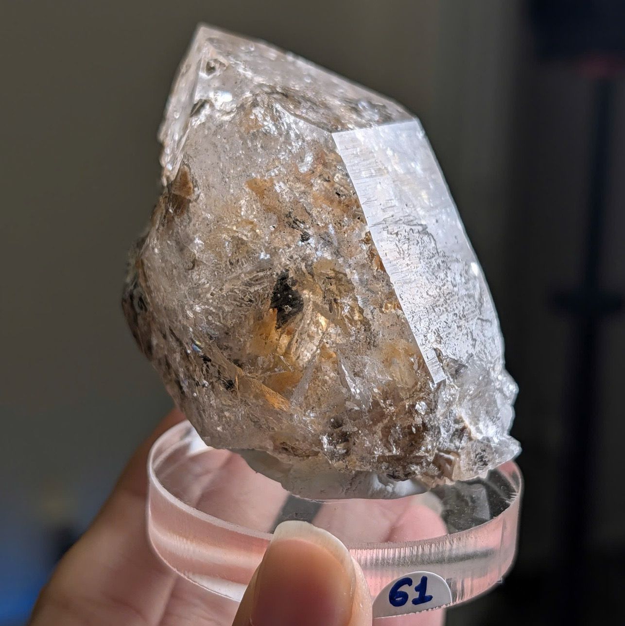  Tinh thể Carbon | Skelaton | Window Clay Quartz 