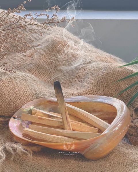 Gỗ Palo Santo ECUADOR - Gỗ Trắc Xanh Thanh Tẩy Đá năng lượng, bài tarot, reiki 