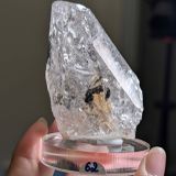  Tinh thể Carbon | Skelaton | Window Clay Quartz 