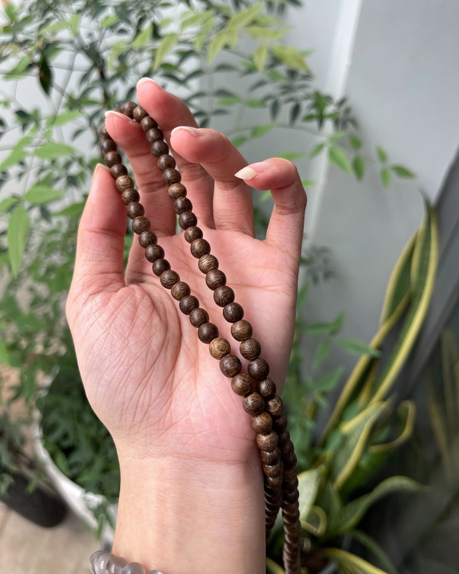  Chuỗi/Vòng Trầm Tốc 