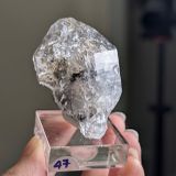  Tinh thể Carbon | Skelaton | Window Clay Quartz 