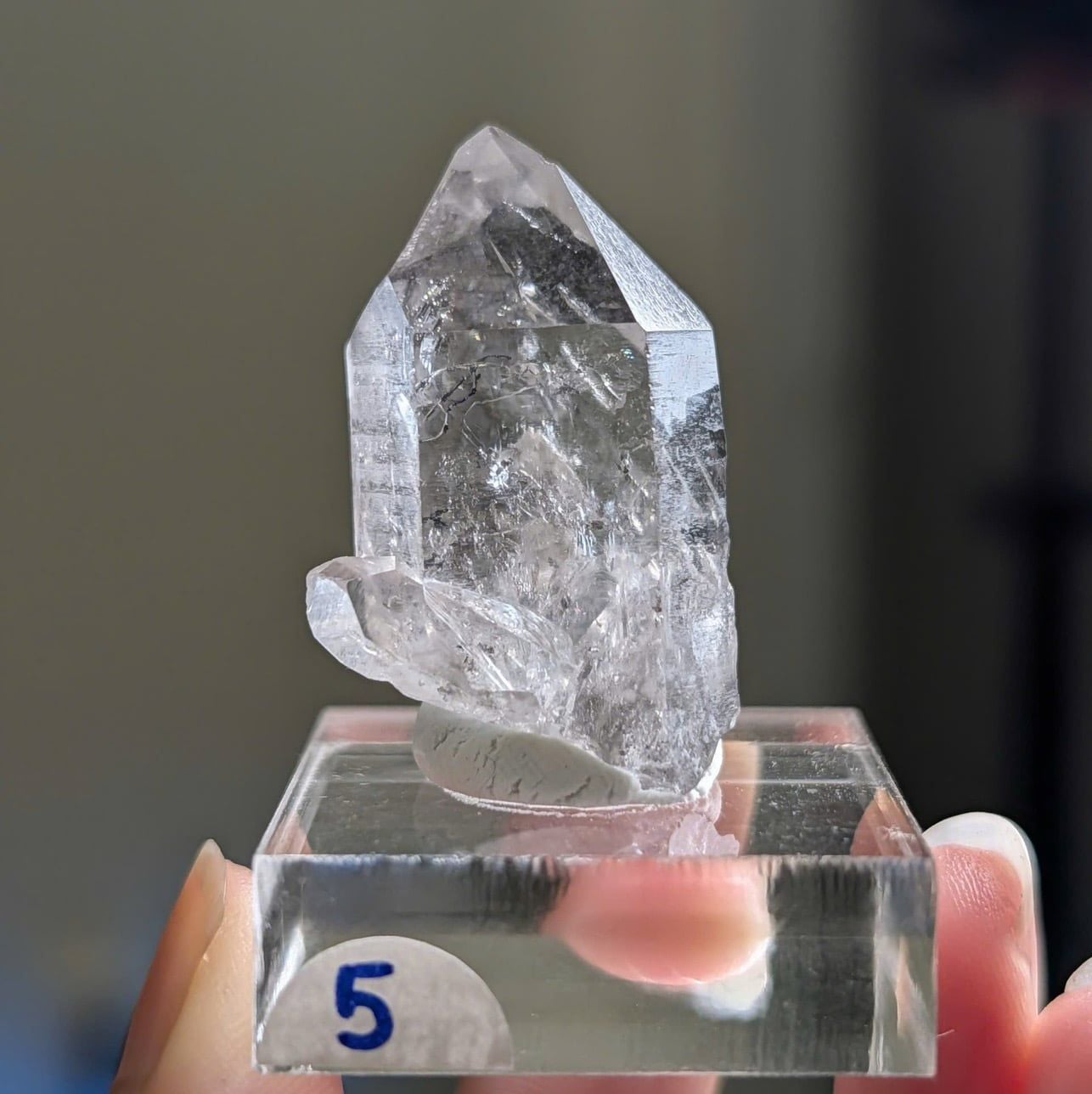  Tinh thể Carbon | Skelaton | Window Clay Quartz 