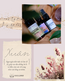  Blessing Spray - Chai xịt Thơm Bảo Vệ 