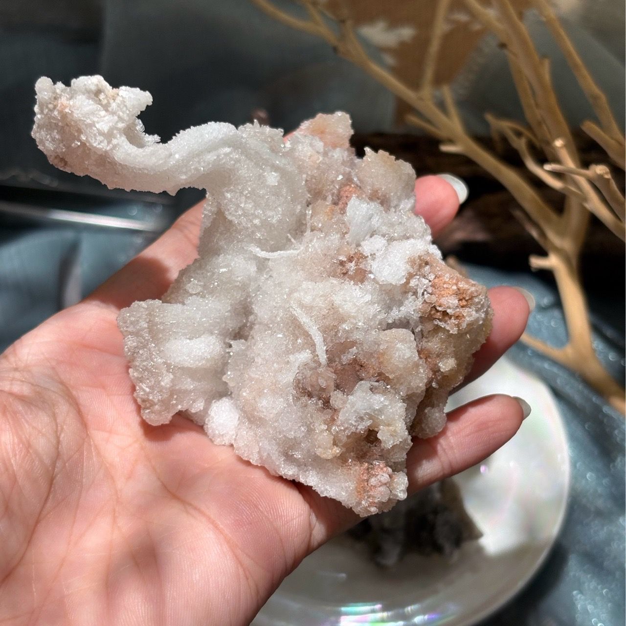  Ram’s Horn Selenite - Selenite sừng cừu 