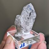  Tinh thể Carbon | Skelaton | Window Clay Quartz 