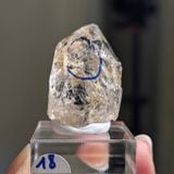  Tinh thể Carbon | Skelaton | Window Clay Quartz 