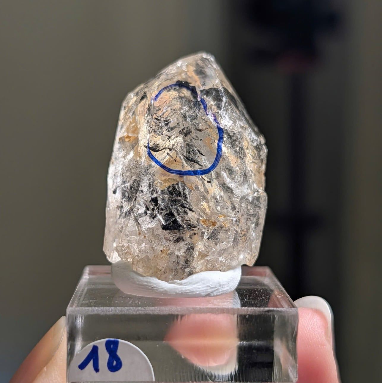  Tinh thể Carbon | Skelaton | Window Clay Quartz 