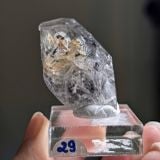  Tinh thể Carbon | Skelaton | Window Clay Quartz 
