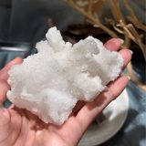  Ram’s Horn Selenite - Selenite sừng cừu 