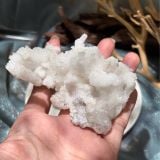  Ram’s Horn Selenite - Selenite sừng cừu 