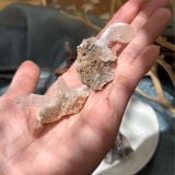  Ram’s Horn Selenite - Selenite sừng cừu 