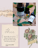  Blessing Spray - Chai xịt Thơm Bảo Vệ 