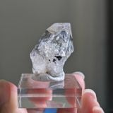  Tinh thể Carbon | Skelaton | Window Clay Quartz 