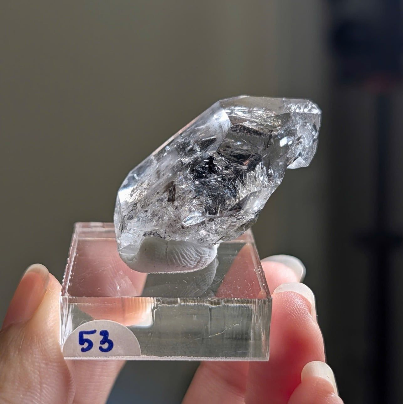  Tinh thể Carbon | Skelaton | Window Clay Quartz 