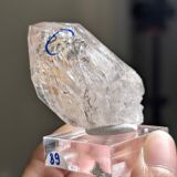  Tinh thể Carbon | Skelaton | Window Clay Quartz 