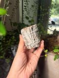 Xô thơm trắng White Sage Bó sage Thanh Tẩy 