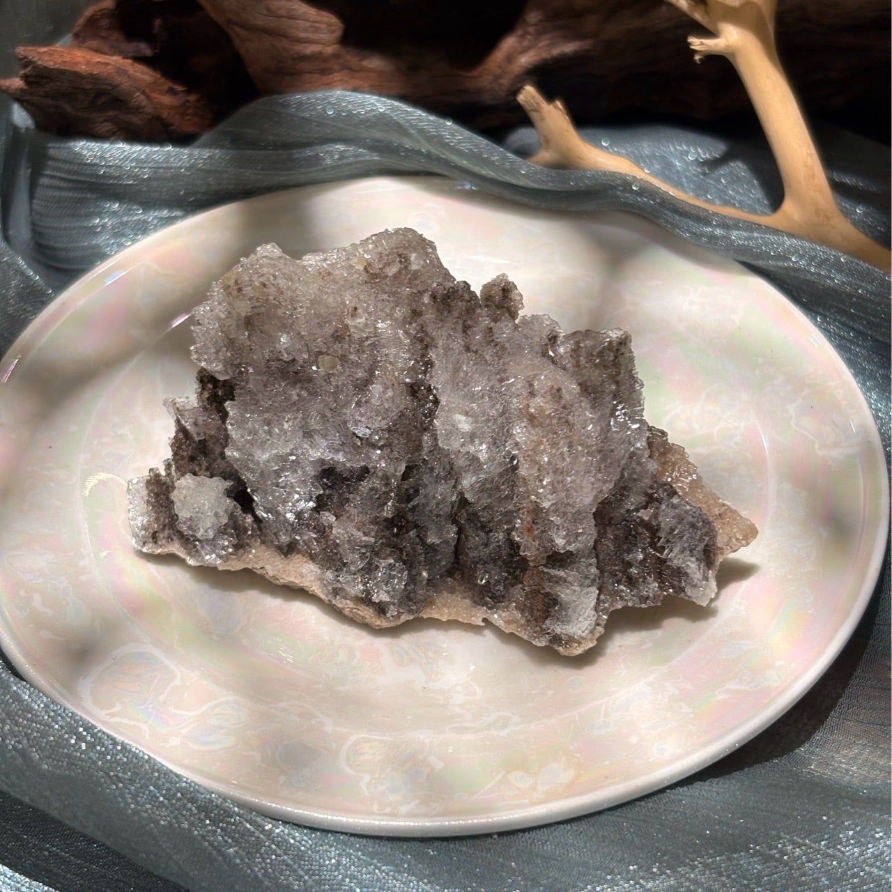  Ram’s Horn Selenite - Selenite sừng cừu 